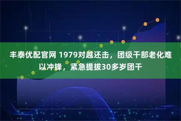丰泰优配官网 1979对越还击，团级干部老化难以冲锋，紧急提拔30多岁团干
