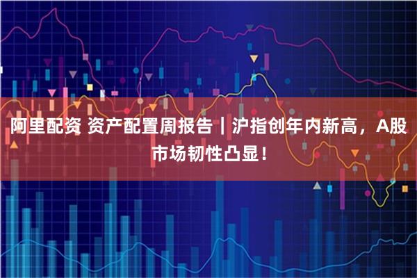 阿里配资 资产配置周报告｜沪指创年内新高，A股市场韧性凸显！
